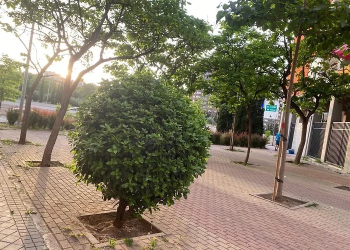 Cosmopolita Zona Céntrica